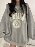 Hip Hop Zip Up Oversized Hoodies Women Harajuku Letter Print Sweatshirts Gray Vintage Loose Fleece Winter Tops Grunge