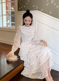 Darianrojas New Spring Pink Lace Embroidery Maxi Dress Female Long Sleeve High Waist Ruffle Elegant Runway Dresses Vestidos