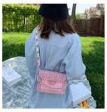 Darianrojas Wide Strap Shoulder Bags for Women Designer Lady Handbags and Purses Fashion Chain Messenger Crossbody Bags