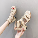 Darianrojas New Women Square Heel Sandals,Rivets Platforms Shoes,Summer Heels,Korea Style,Female Footwear Black,BLUE,BEIGE